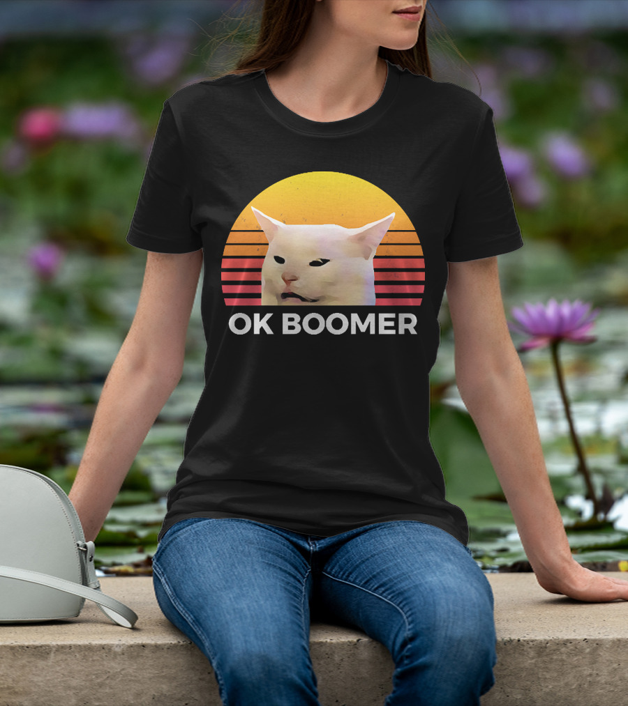 Cat Ok Boomer Retro Sunset T-Shirt