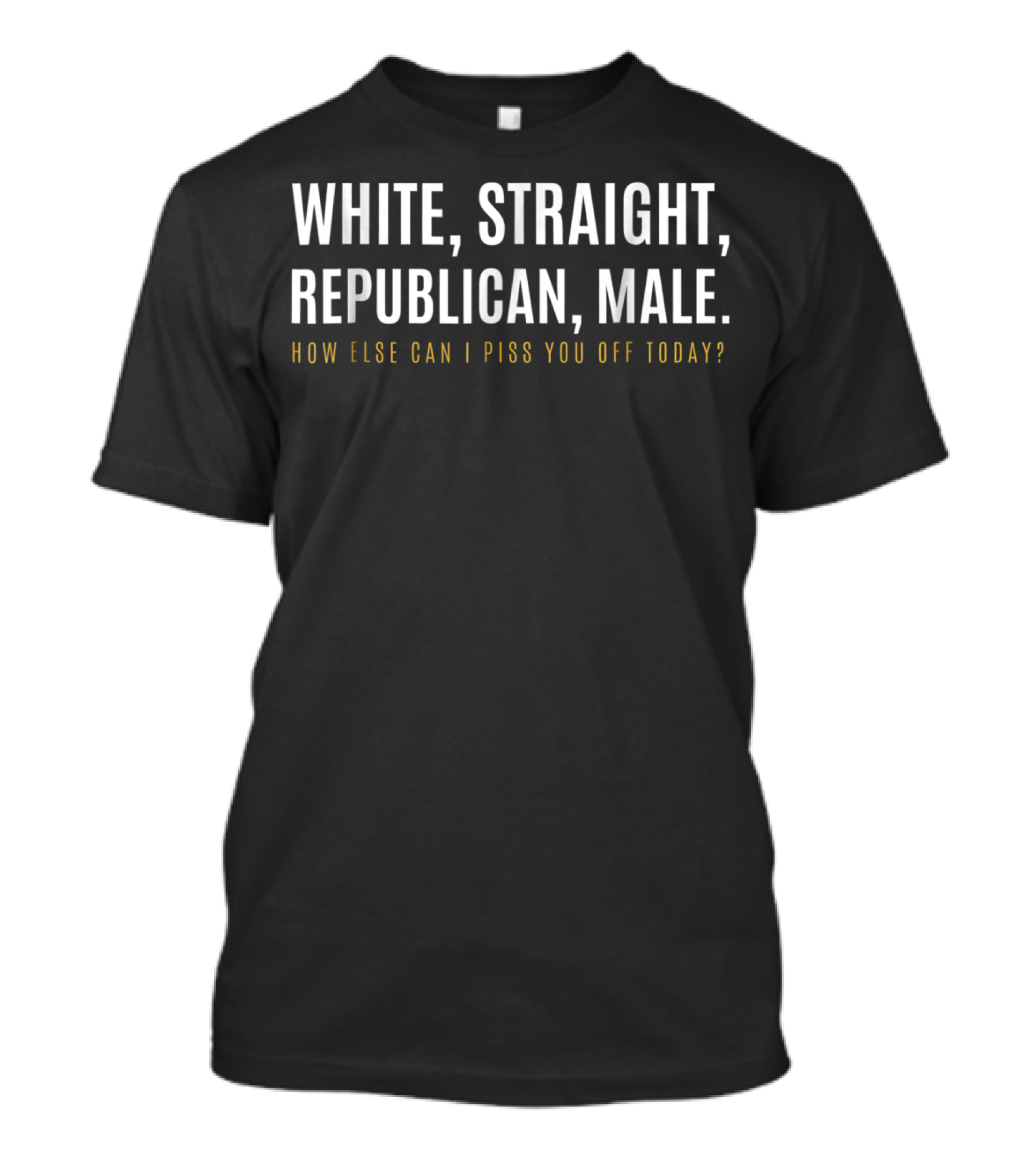 WHITE STRAIGHT REPUBLICAN MALE HOW ELSE CAN I PISS YOU OFF TODAY? T-Shirt