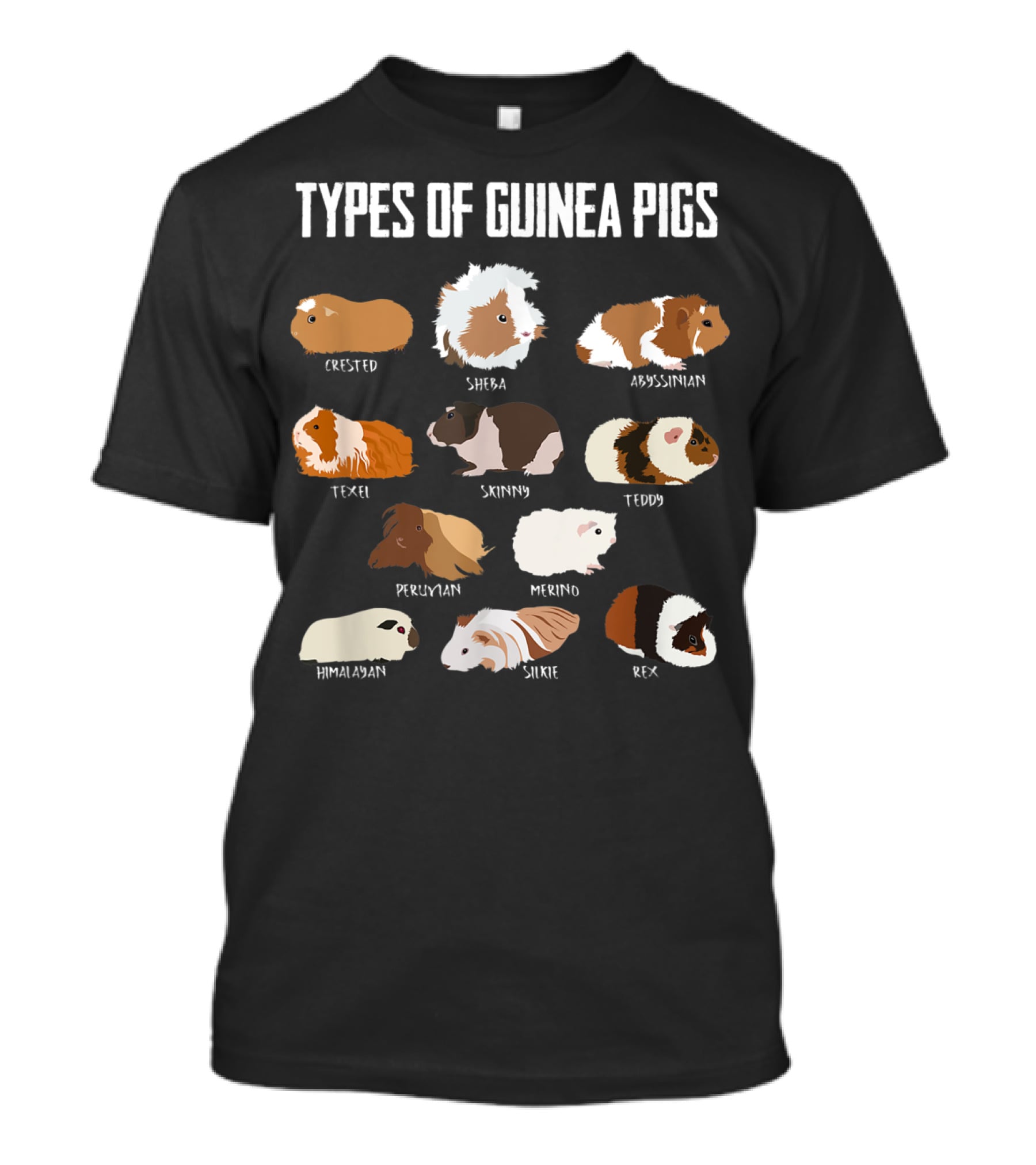 Types Of Guinea Pigs Crested Sheba Abyssinian Texel Skinny Teddy Peruvian Merino Himalayan Silkie Rex T-Shirt