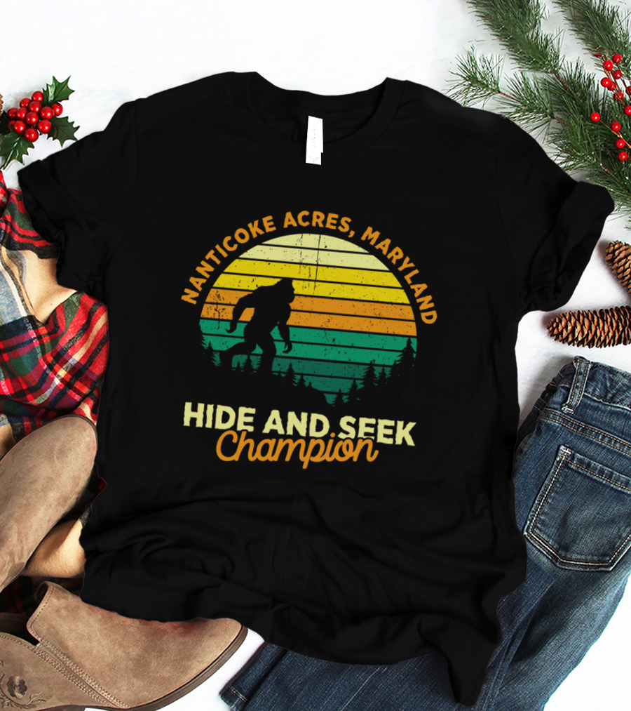 Nanticoke Acres Maryland Bigfoot Hide And Seek Champion Retro Sunset T-Shirt