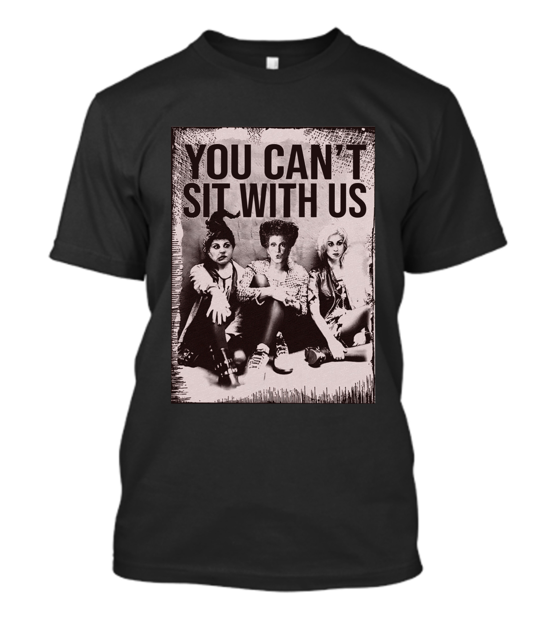 You Can't Sit With Us Hocus Pocus Premium GC492 T-Shirt