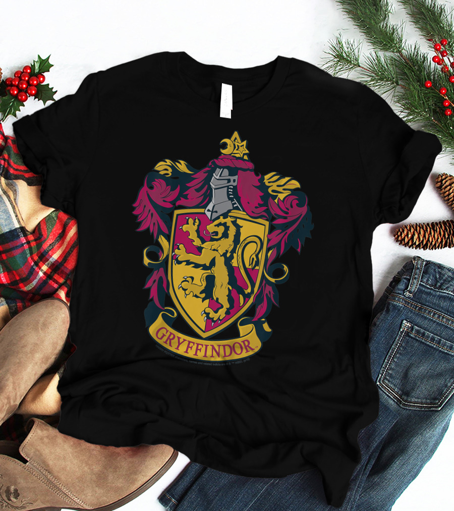 Gryffindor Only Today T-Shirt