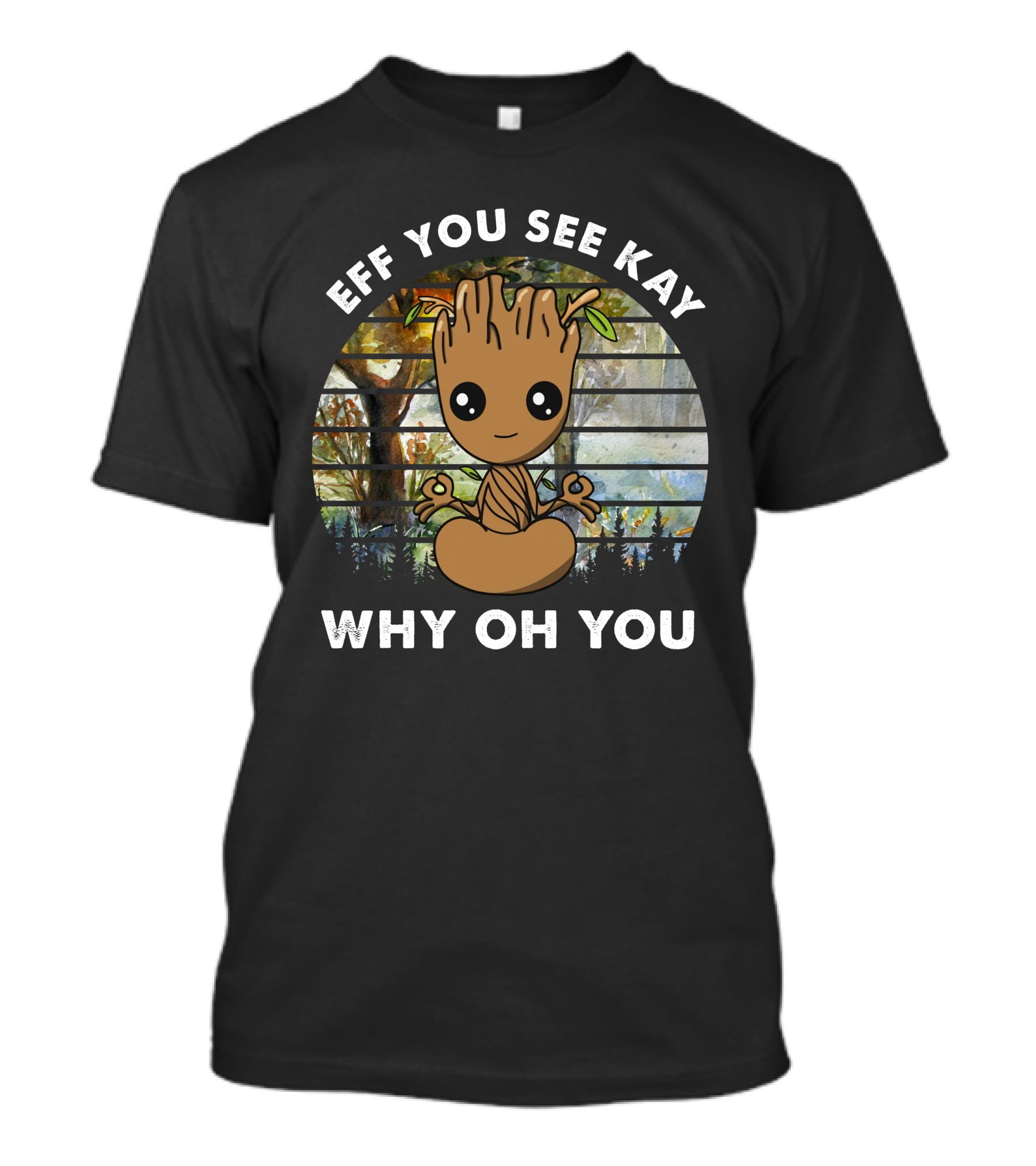 Eff You See Kay Why Oh You Today T-Shirt
