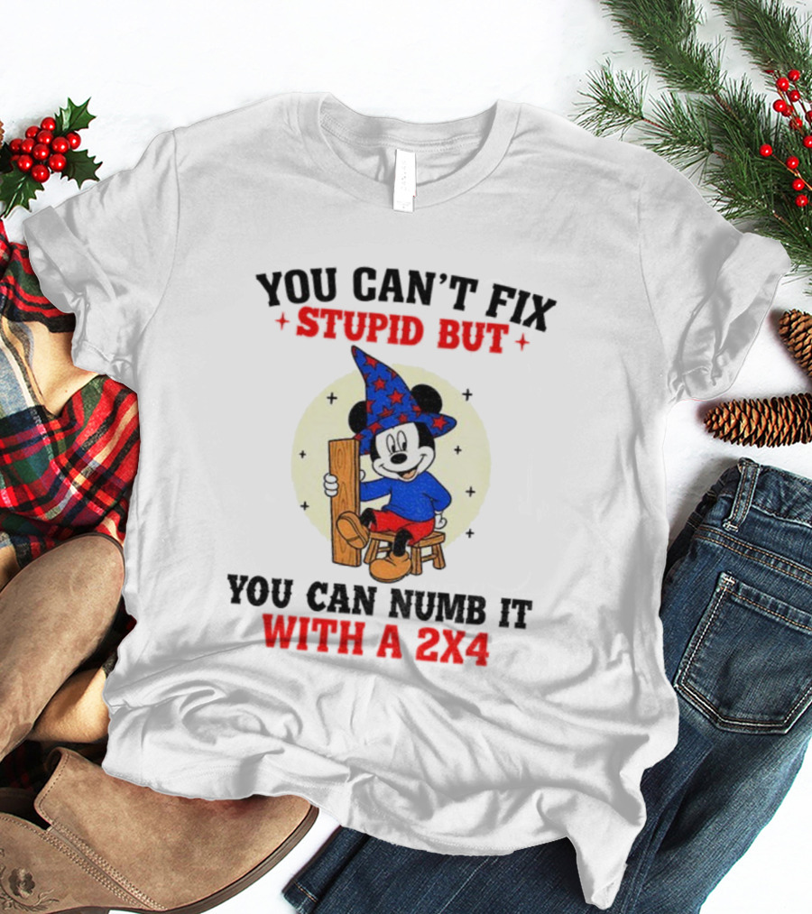 You Can't Fix Stupid But You Can Numb It With A 2x4 Mickey Witch T-Shirt