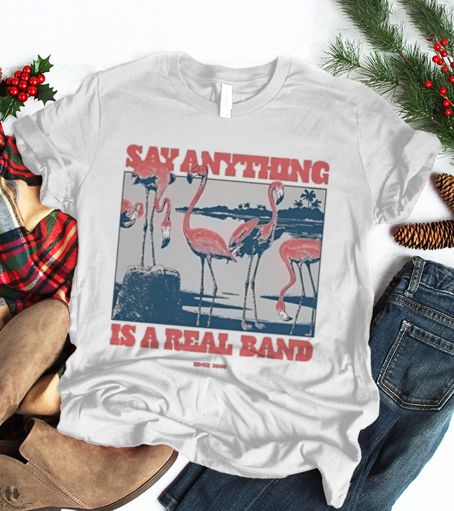 Say Anything Flamingo Is A Real Band Since 2000 T-Shirt