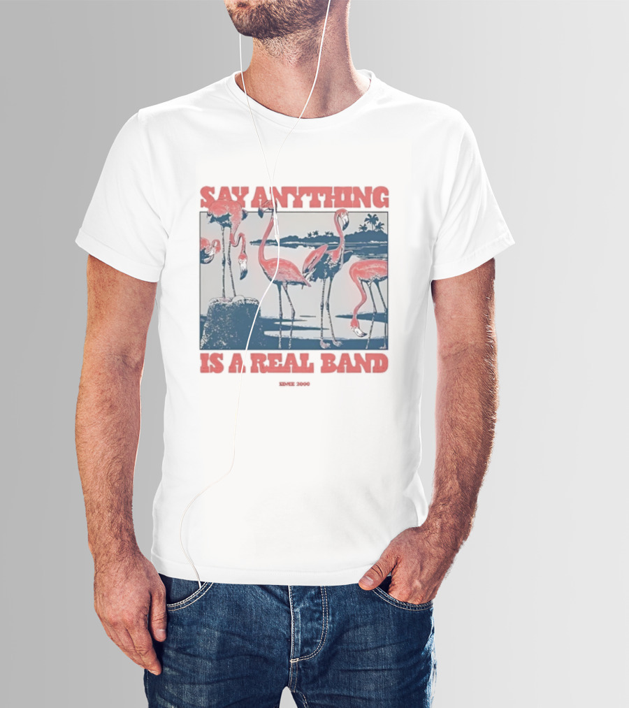 Say Anything Flamingo Is A Real Band Since 2000 T-Shirt
