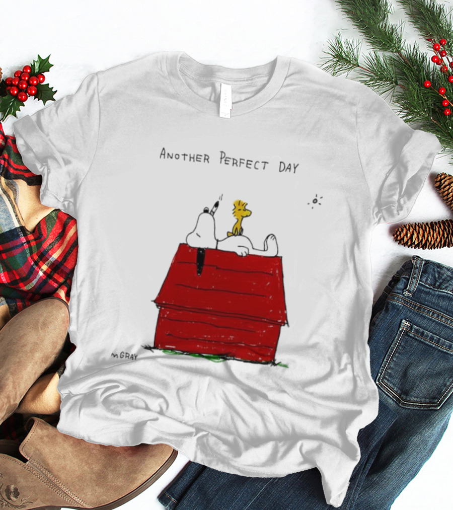 Snoopy And Woodstock Relaxing On Doghouse Perfect Day T-Shirt