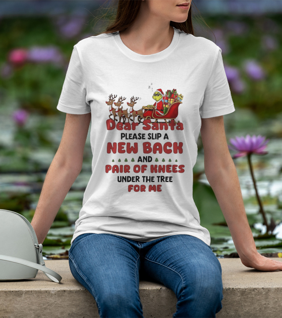 Dear Santa Grinch New Back Pair Of Knees Christmas Humor T-Shirt
