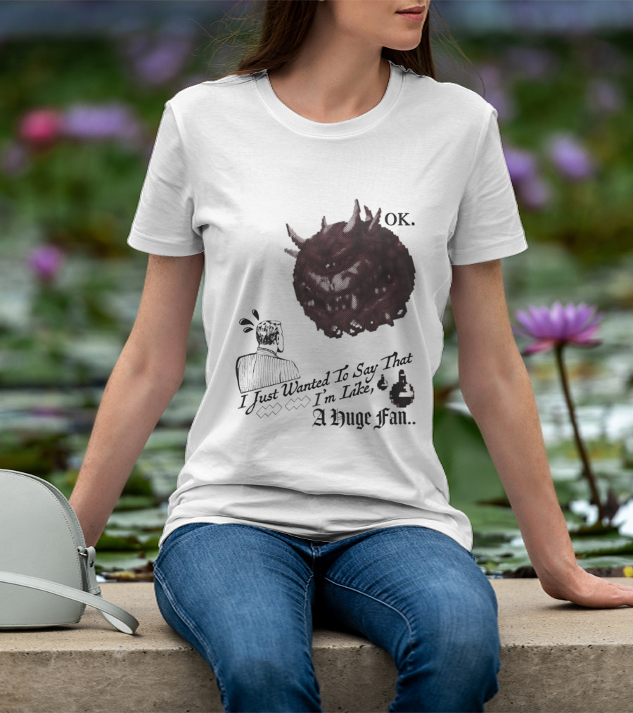 OK I Just Wanted To Say That I'm Like A Huge Fan T-Shirt