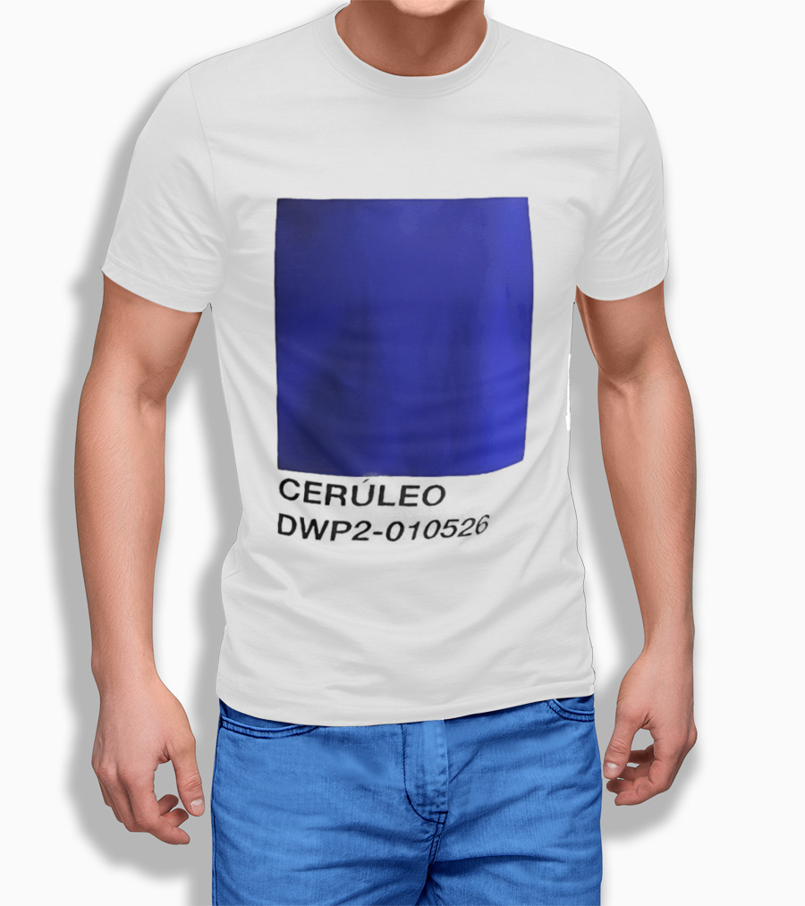Ceruleo DWP2 010526 T-Shirt