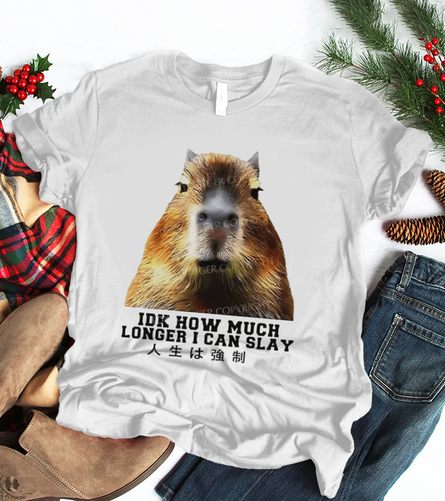 Capybara Idk How Much Longer I Can Slay T-Shirt