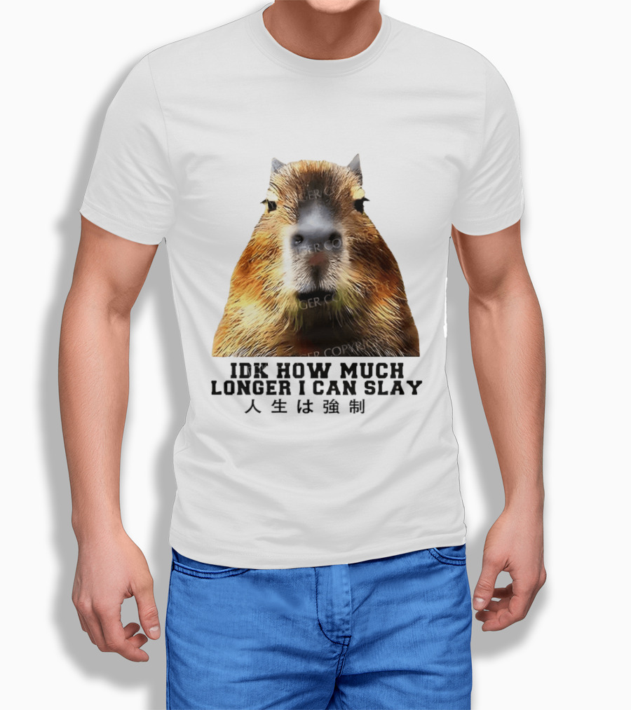 Capybara Idk How Much Longer I Can Slay T-Shirt
