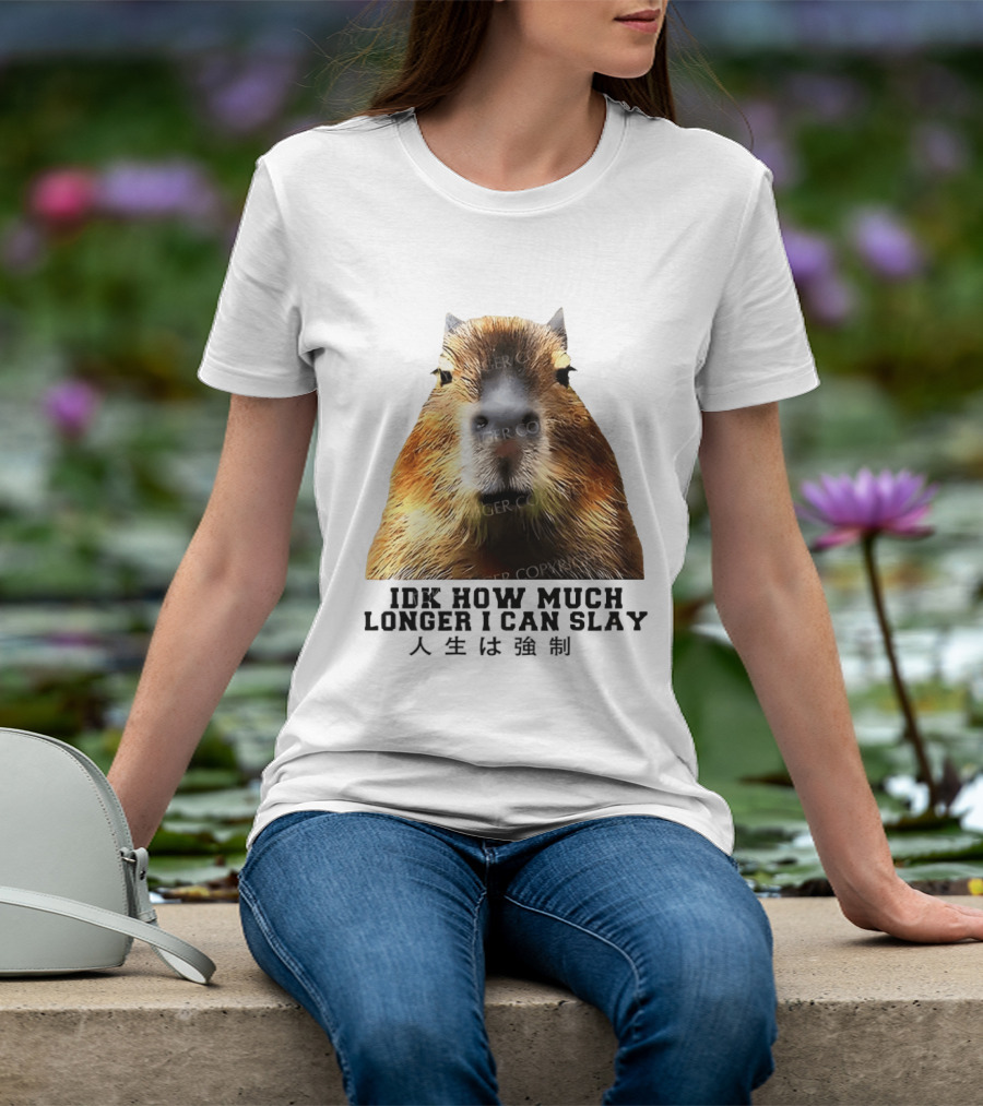 Capybara Idk How Much Longer I Can Slay T-Shirt
