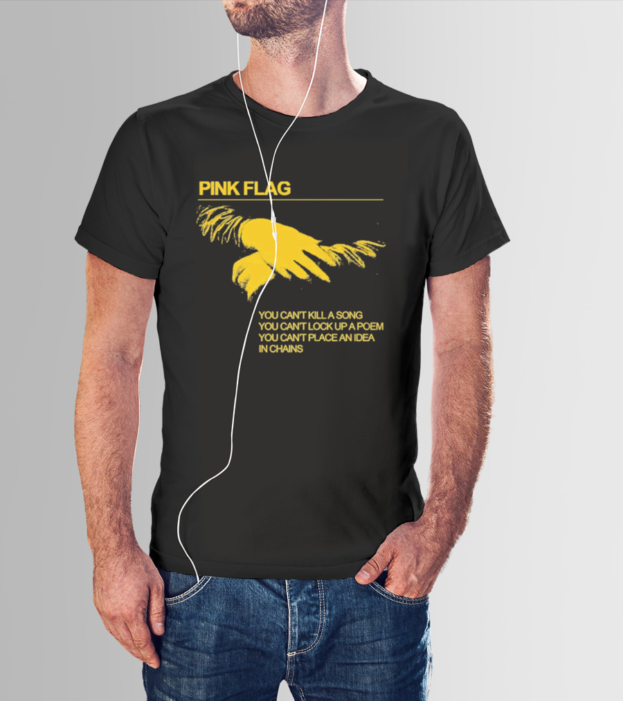 Pink Flag You Can't Kill A Song Poem Idea In Chains T-Shirt
