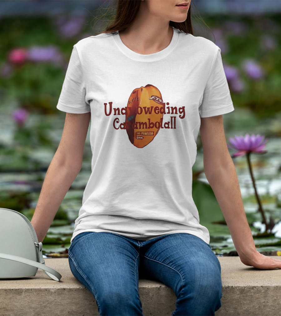 Unavoweding Carambolall The Princlion Frito Lay 9PM T-Shirt