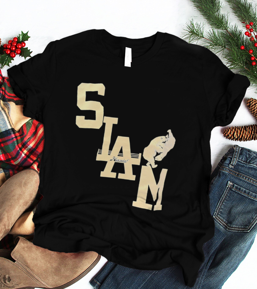 Slam Boxing Bear Fist Punch T-Shirt