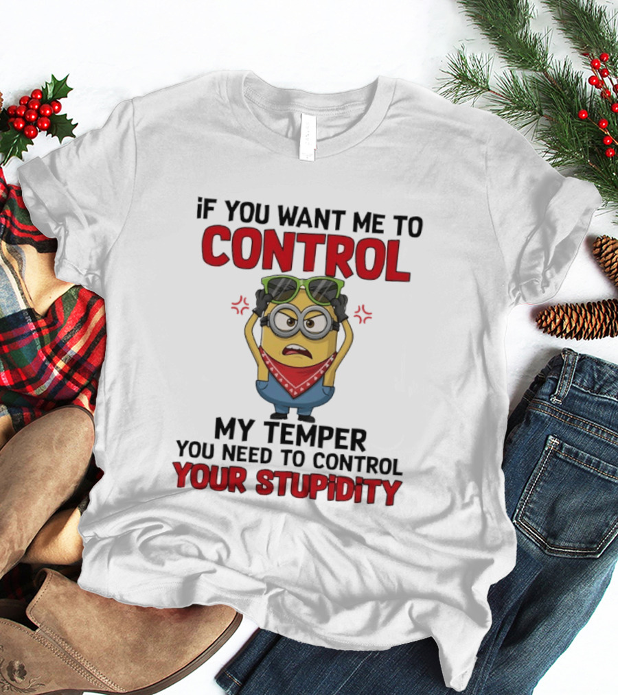 Grumpy Minion Control My Temper Control Your Stupidity T-Shirt
