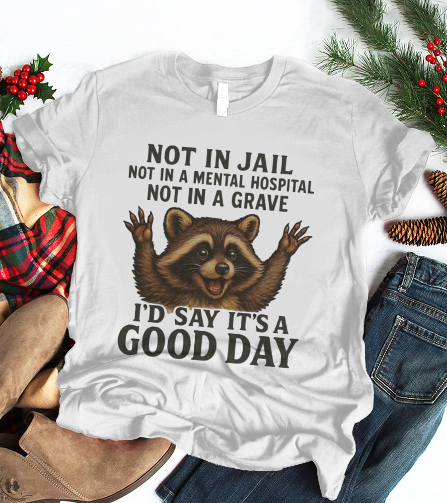 Raccoon Not In Jail Not In A Mental Hospital Not In A Grave I’d Say It’s A Good Day T-Shirt