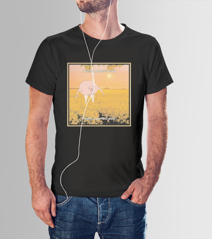 I Want A Perfect Body I Want A Perfect Soul Sunset Parody T-Shirt