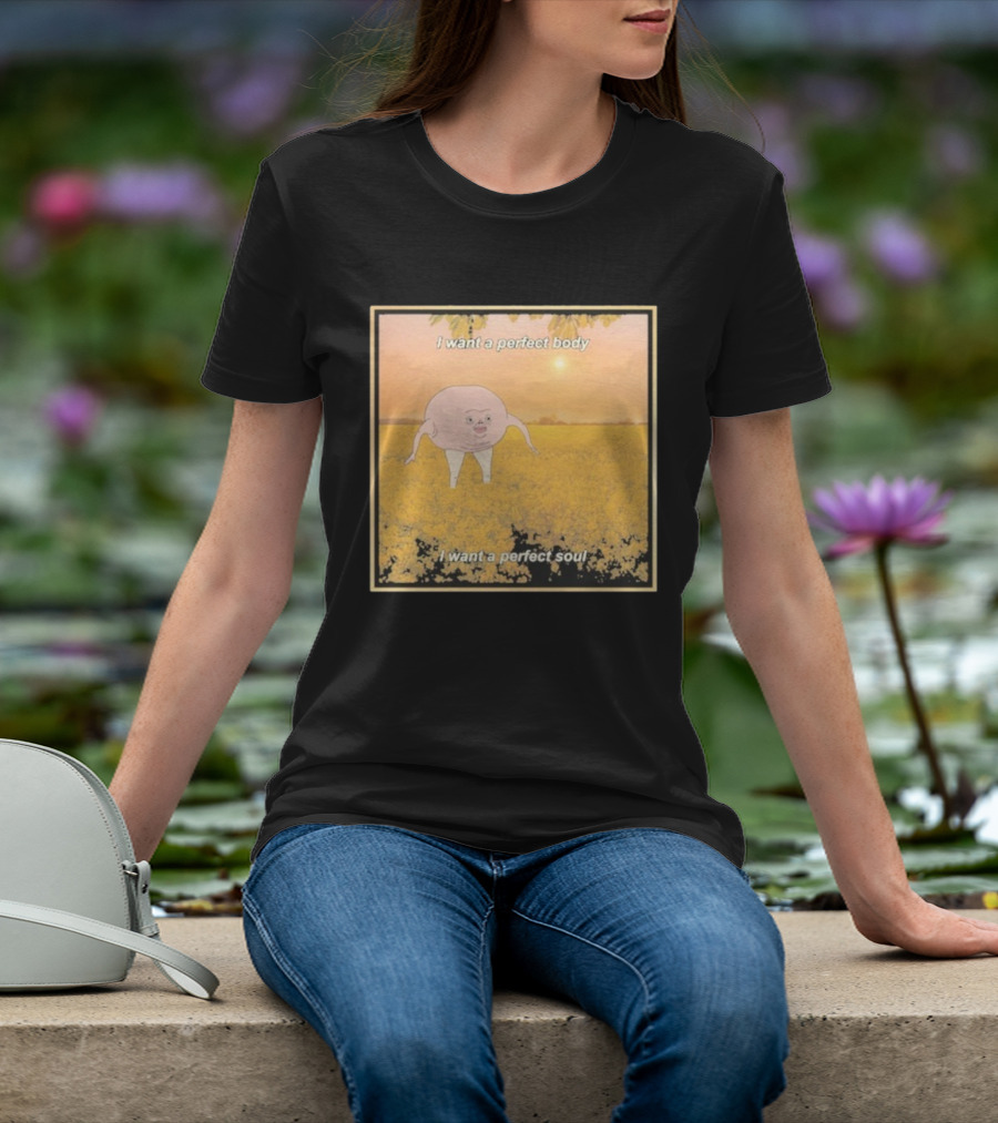 I Want A Perfect Body I Want A Perfect Soul Sunset Parody T-Shirt