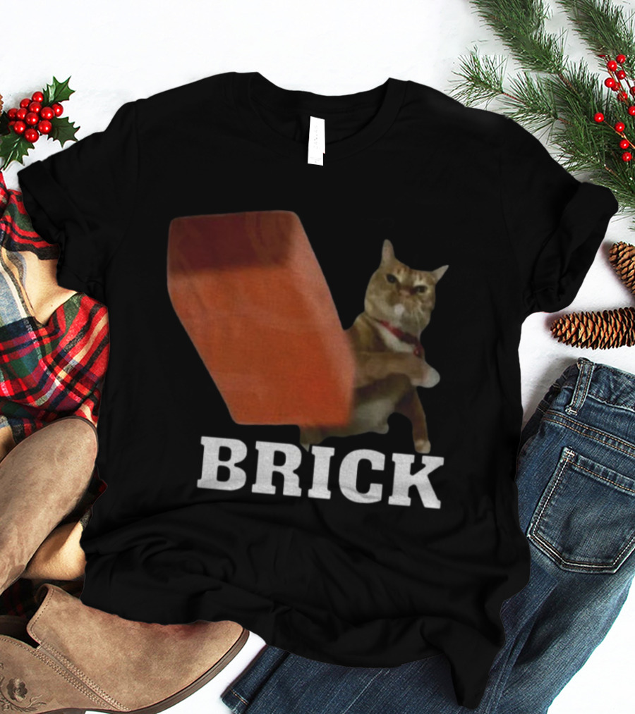 Funny Cat Brick Throw Meme T-Shirt
