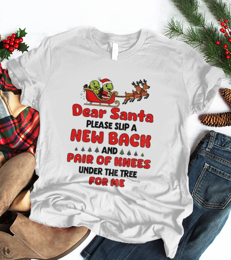 Dear Santa New Back Pair Of Knees Holiday Turtle Sleigh T-Shirt