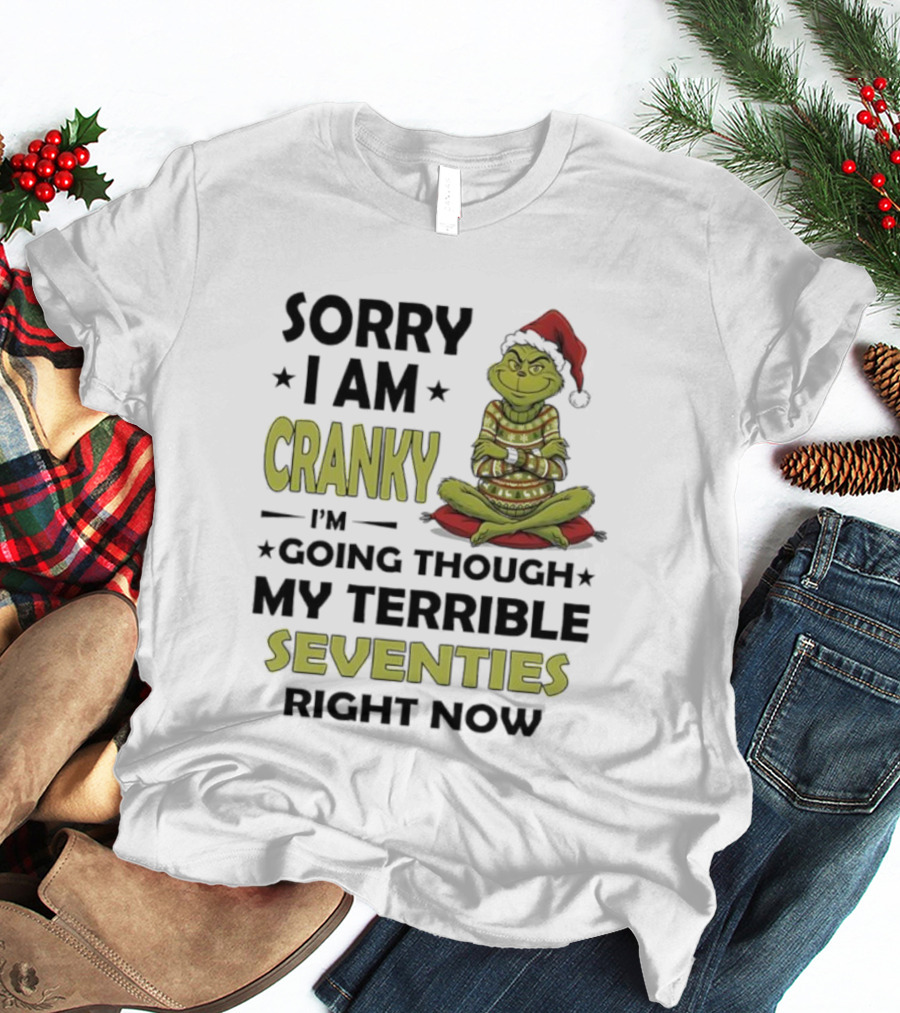 Sorry I Am Cranky Grinch Santa Hat Going Through My Terrible Seventies T-Shirt