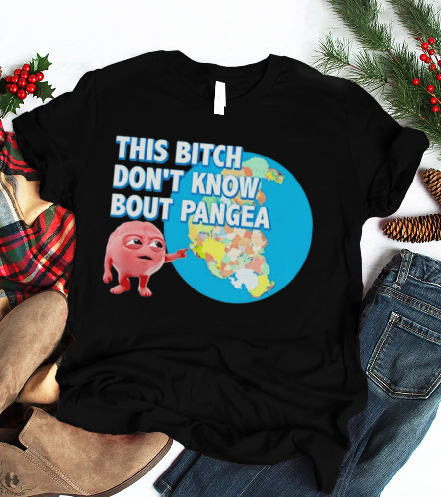 This Bitch Don't Know Bout Pangea Brain Meme Map T-Shirt
