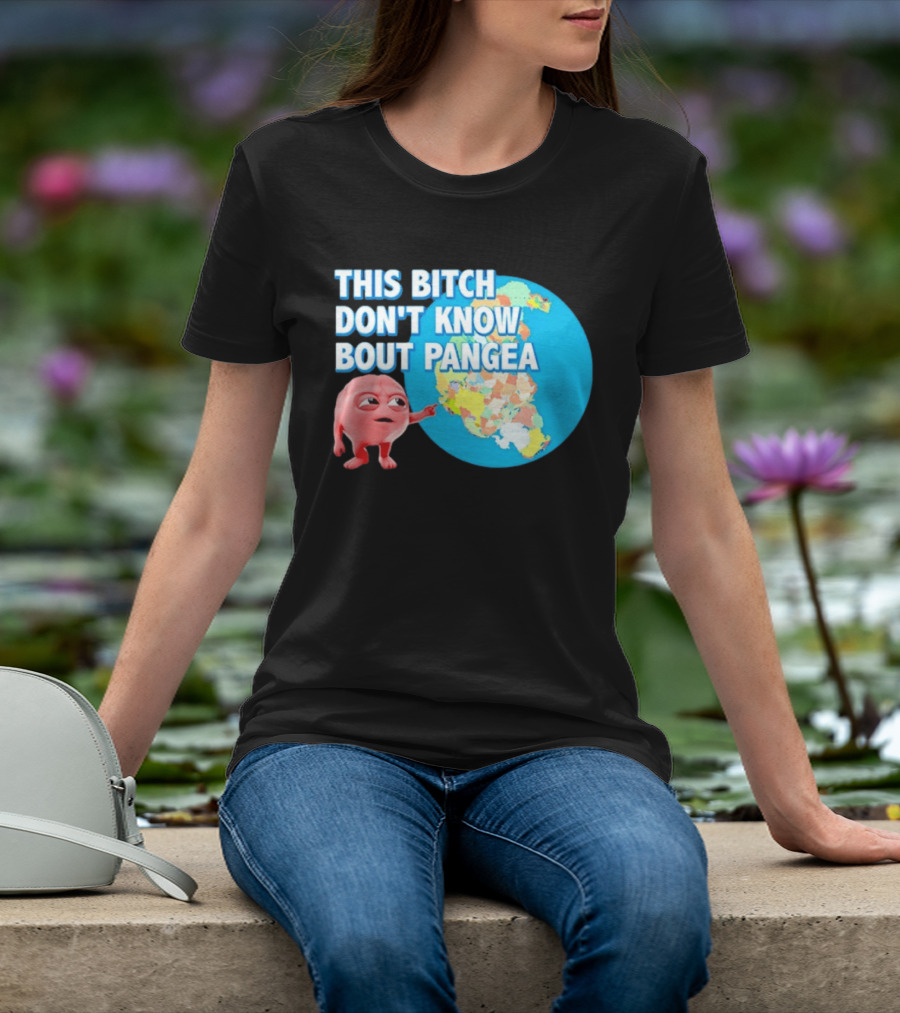 This Bitch Don't Know Bout Pangea Brain Meme Map T-Shirt