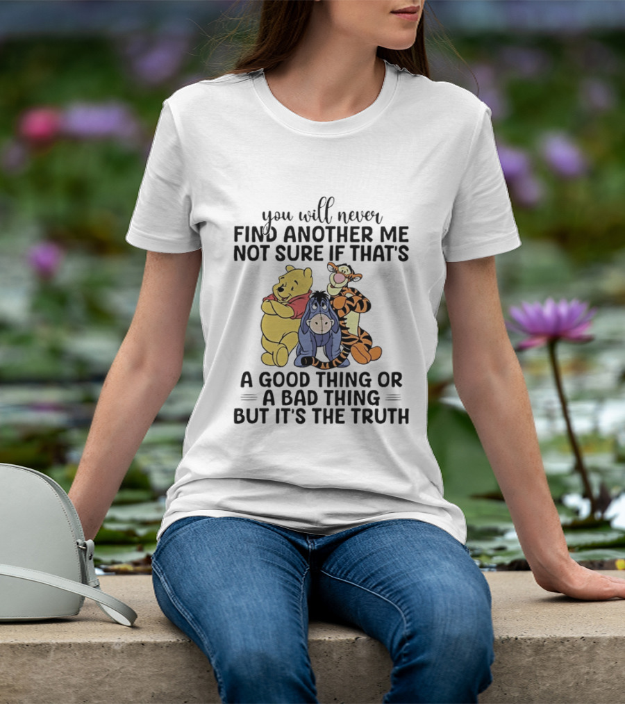 Winnie The Pooh Eeyore Tigger You Will Never Find Another Me Not Sure If That's A Good Thing Or A Bad Thing But It's The Truth T-Shirt