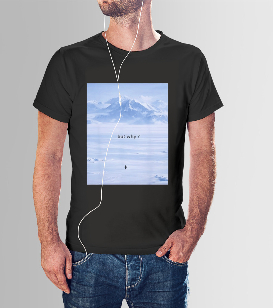 Penguin But Why Meme Snowy Mountains Motivational Scene T-Shirt