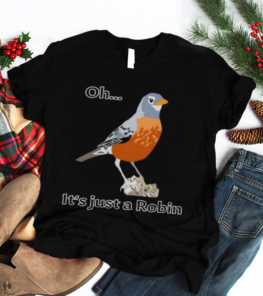 Oh It's Just A Robin Standing On Rock T-Shirt