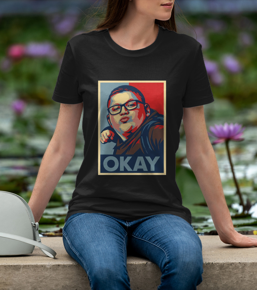 Okay Punch Kid Meme T-Shirt
