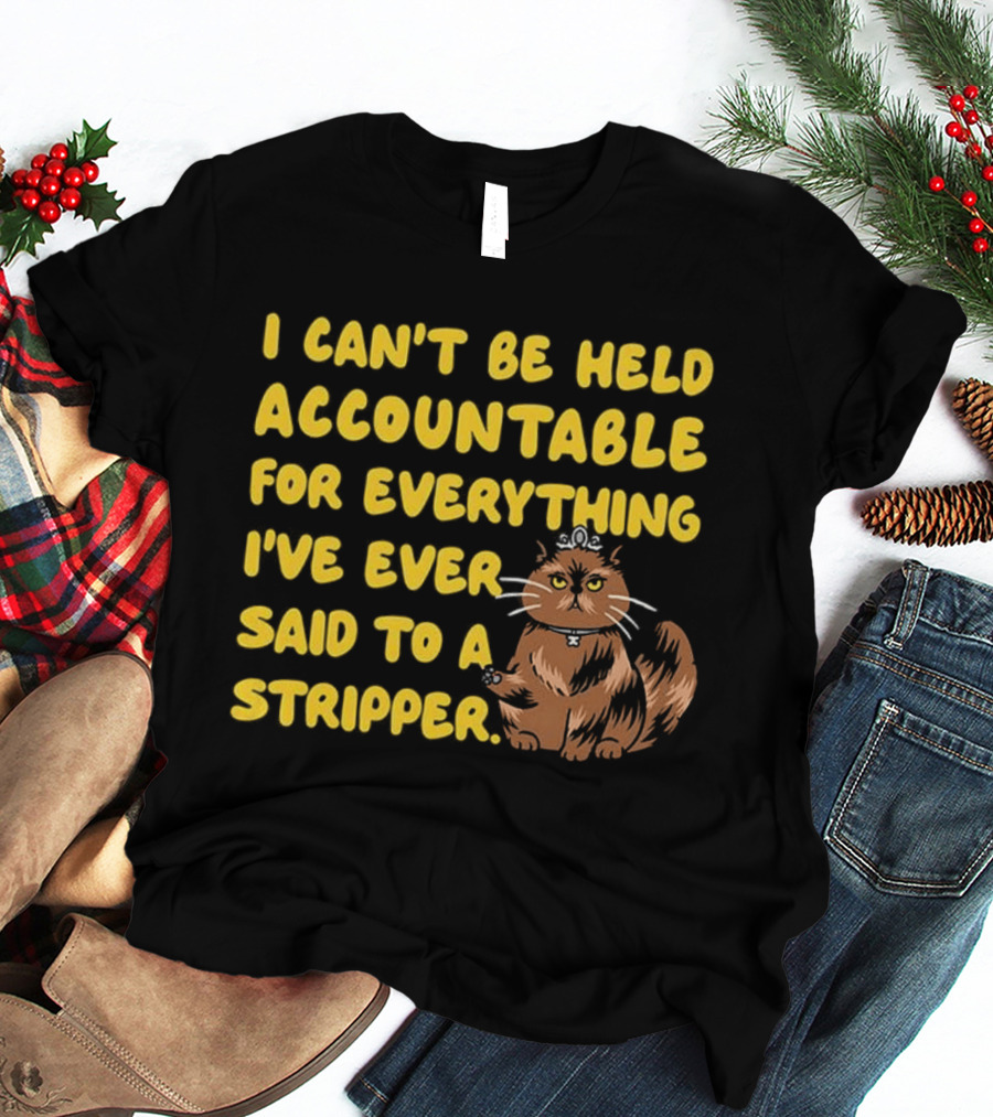 I Can't Be Held Accountable Cat Humor And Stripper T-Shirt