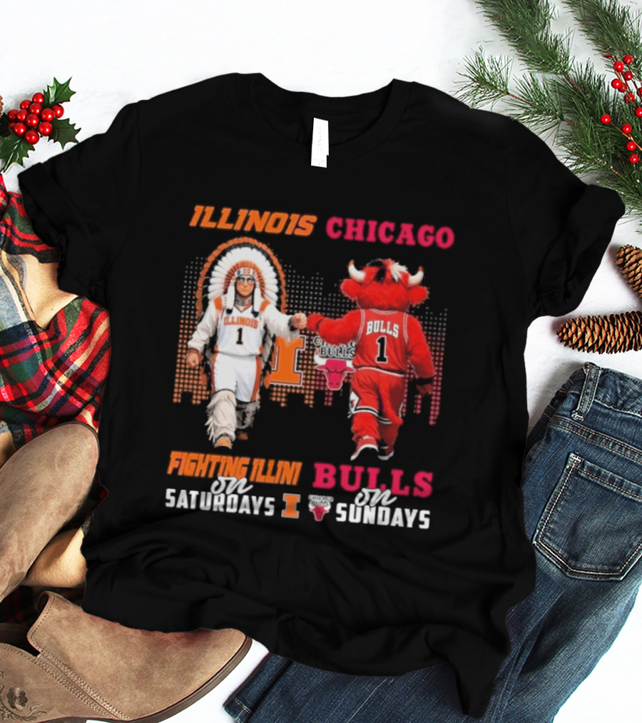 Illinois Fighting Illini On Saturdays Chicago Bulls On Sundays T-Shirt