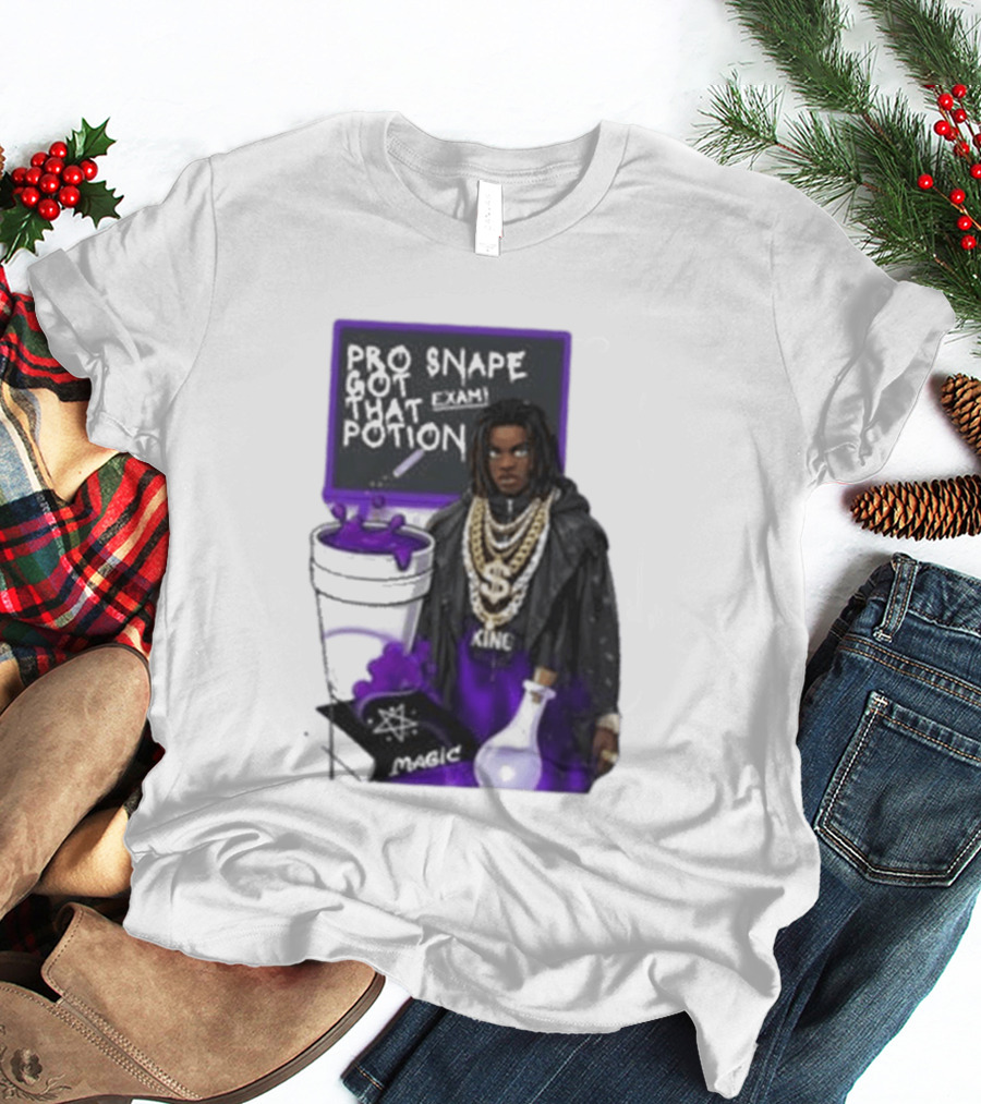 Pro Snape Got That Potion Magic Hip Hop Exam King T-Shirt