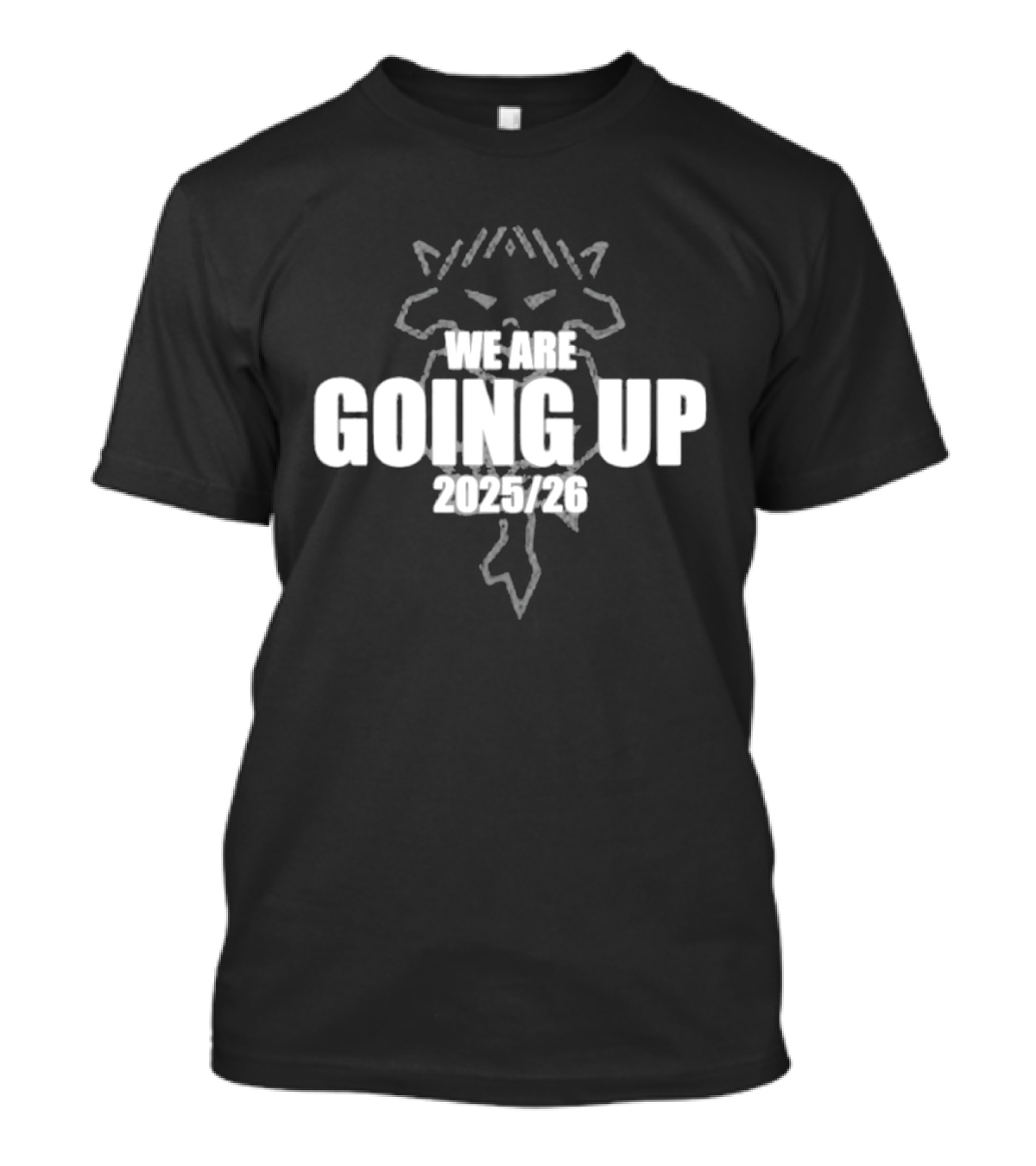 Lincoln City We Are Going Up 2026 T-Shirt
