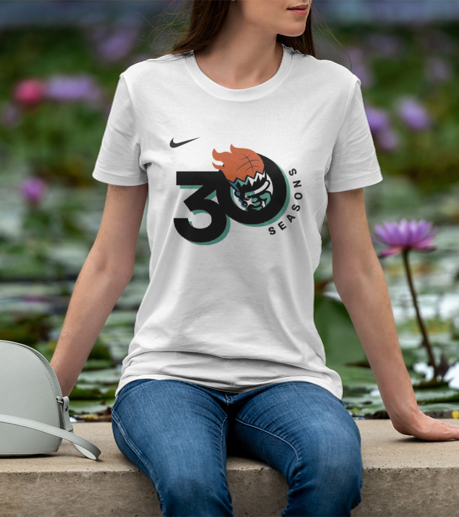 Nike New York Liberty 30 Seasons Basketball T-Shirt