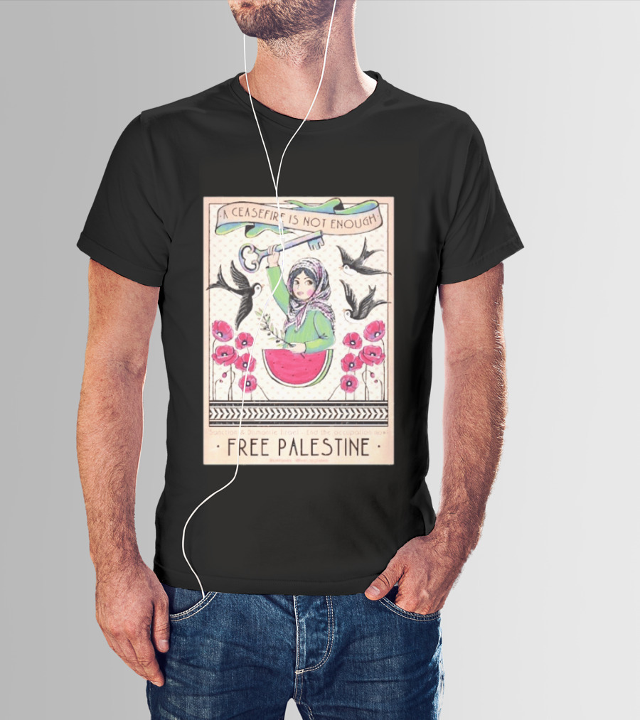 A Ceasefire Is Not Enough Free Palestine Sanction And Dismantle Israel End The Occupation Now T-Shirt