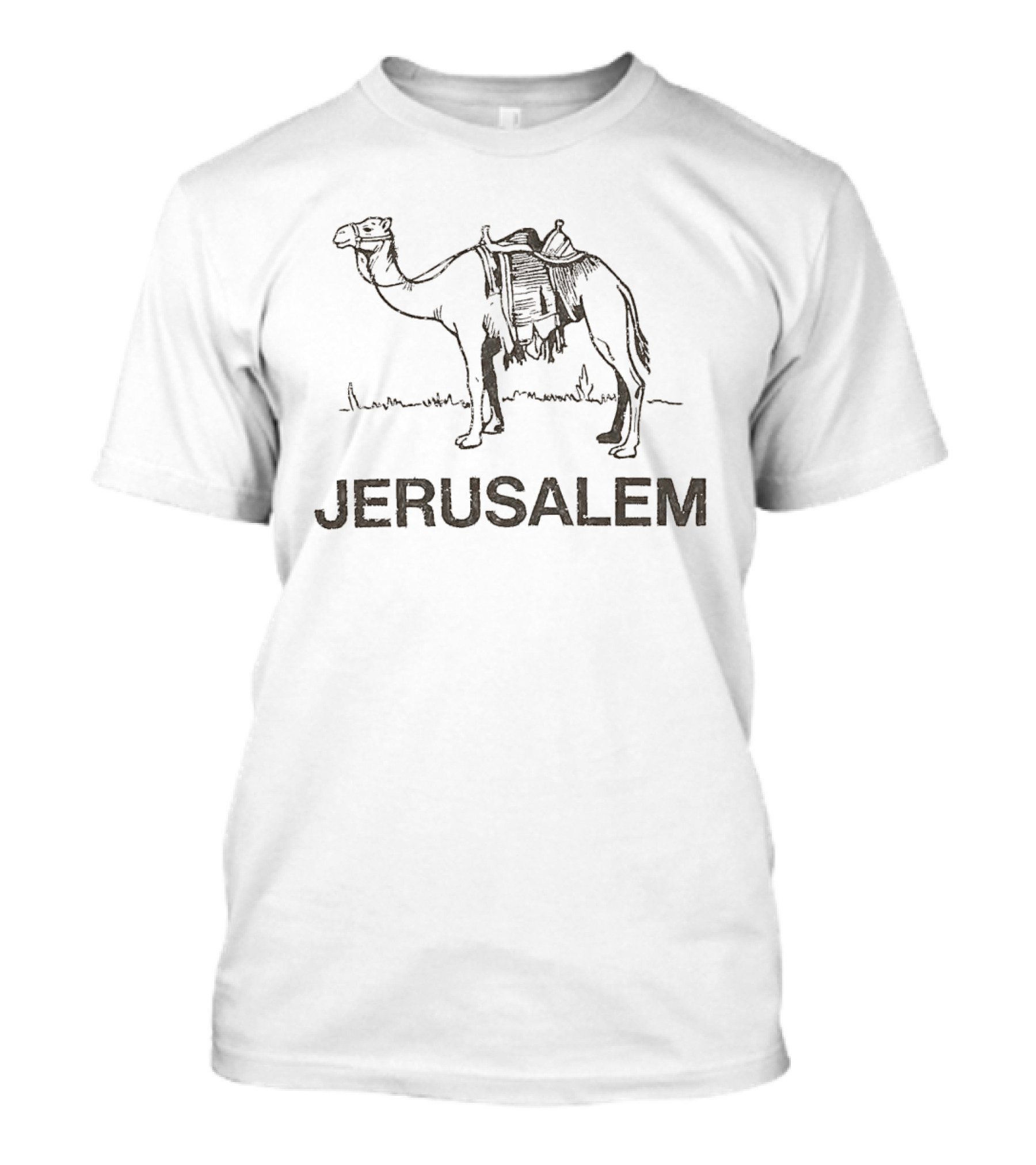 Jerusalem Camel Artwork With Zendaya Connection T-Shirt