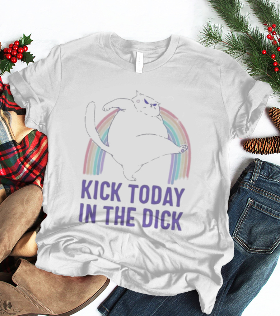 Kick Today In The Dick Rainbow Cat T-Shirt