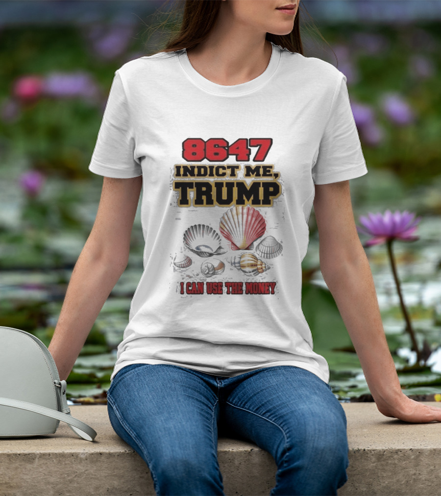 8647 Indict Me Trump I Can Use The Money Shells T-Shirt