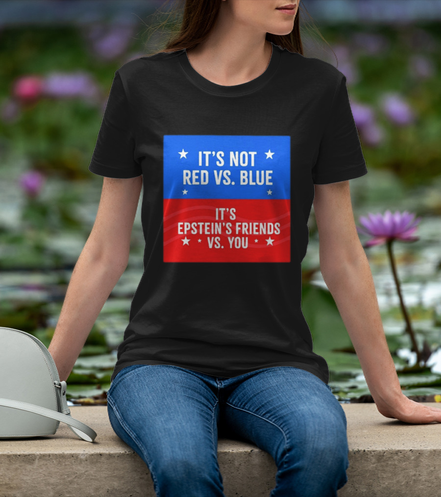 It's Not Red Vs Blue It's Epstein's Friends Vs You T-Shirt