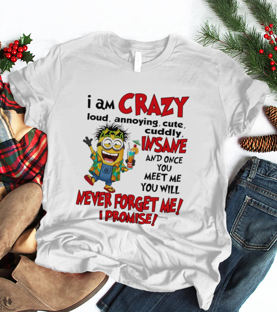 I Am Crazy Loud Annoying Cute Cuddly Insane Once You Meet Me Never Forget Promise T-Shirt