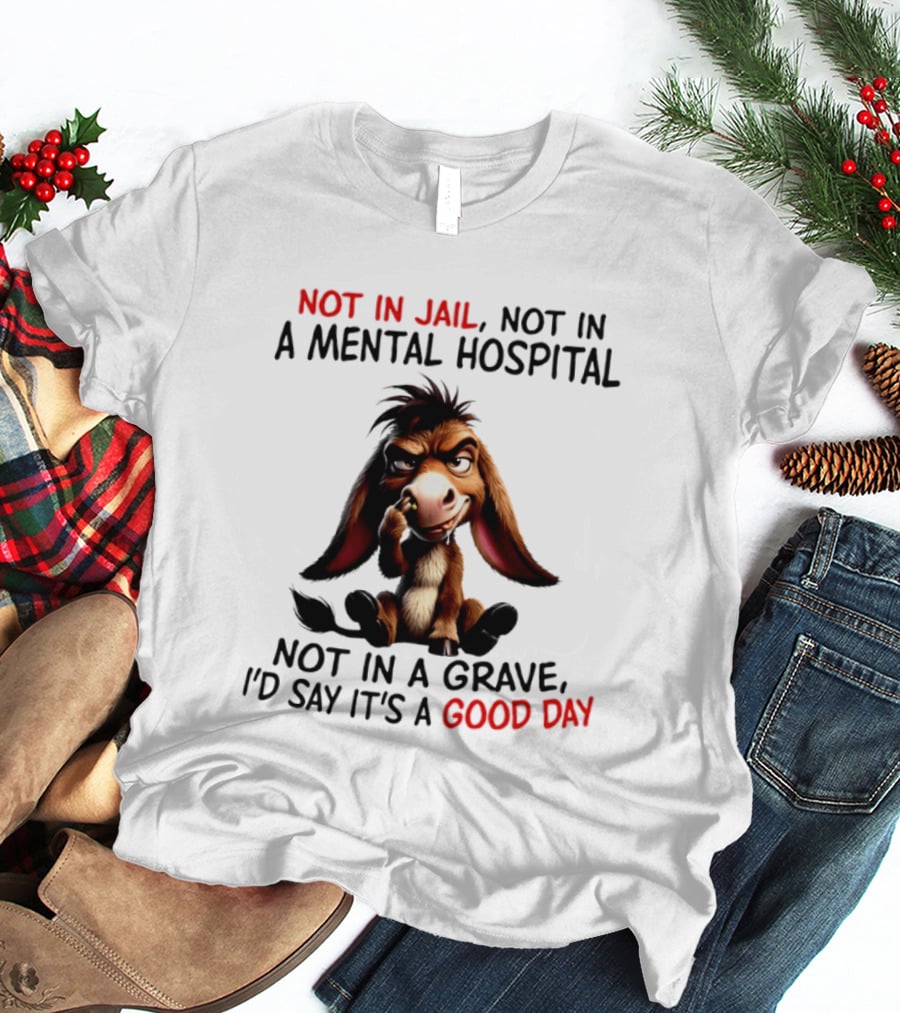 Donkey Not In Jail Not In A Mental Hospital Not In A Grave I'd Say It's A Good Day T-Shirt