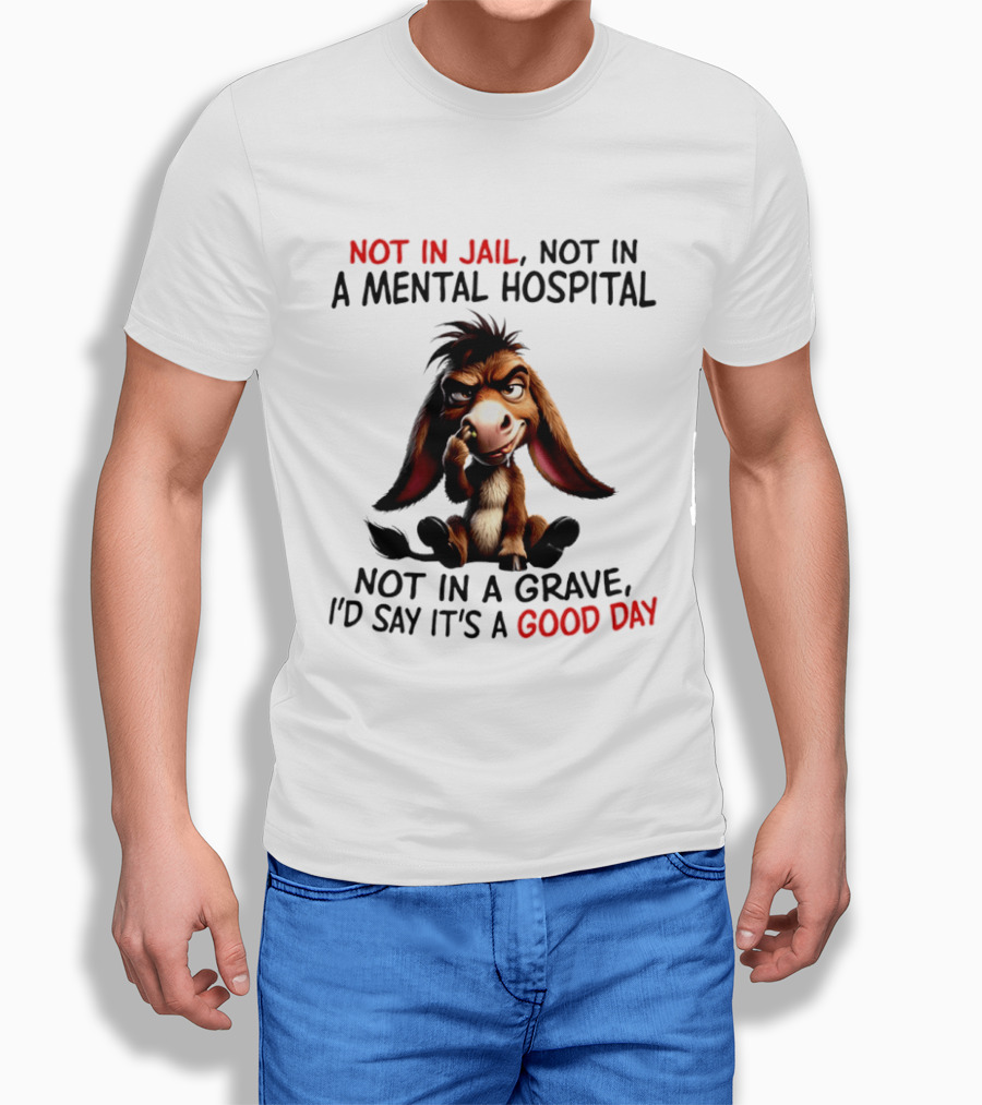 Donkey Not In Jail Not In A Mental Hospital Not In A Grave I'd Say It's A Good Day T-Shirt