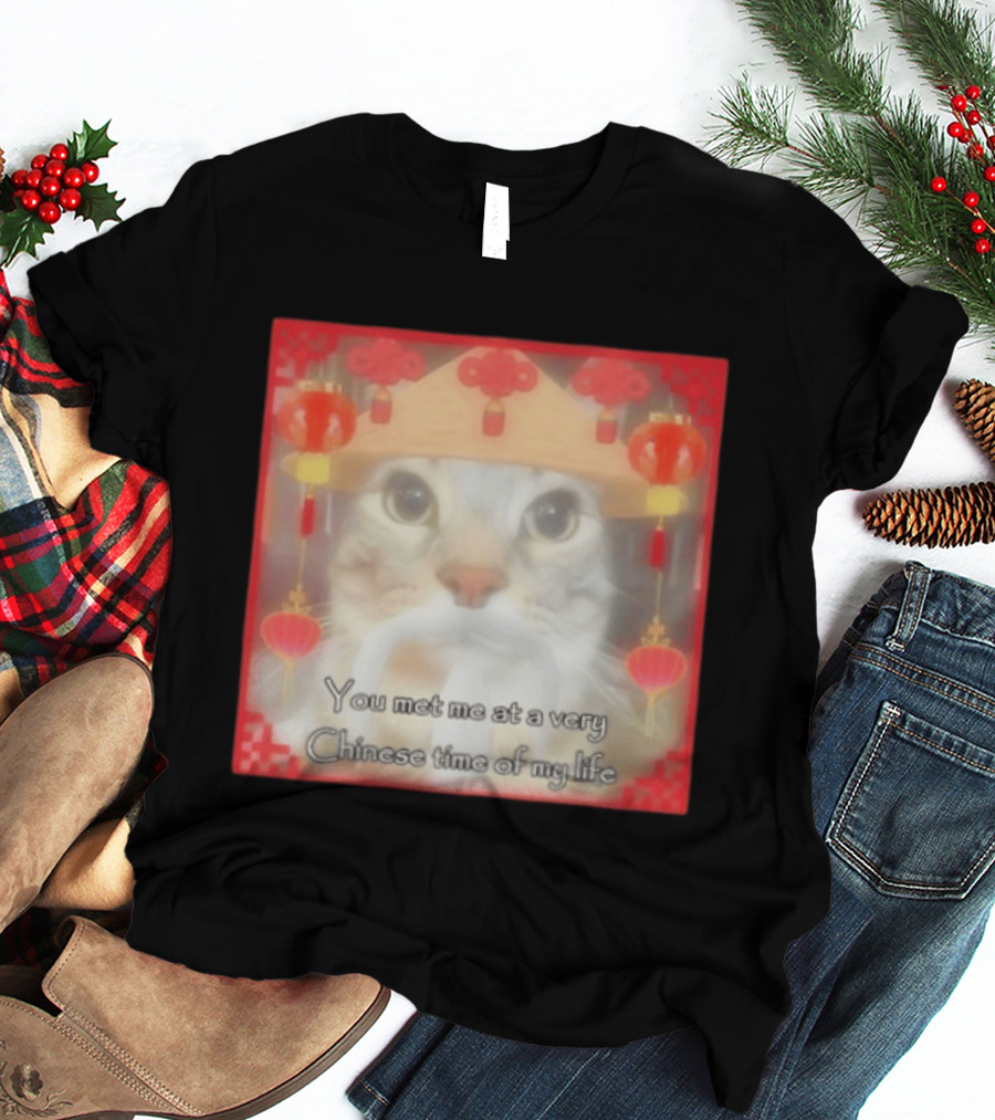 You Met Me At A Very Chinese Time Of My Life Cat Lanterns Hat T-Shirt