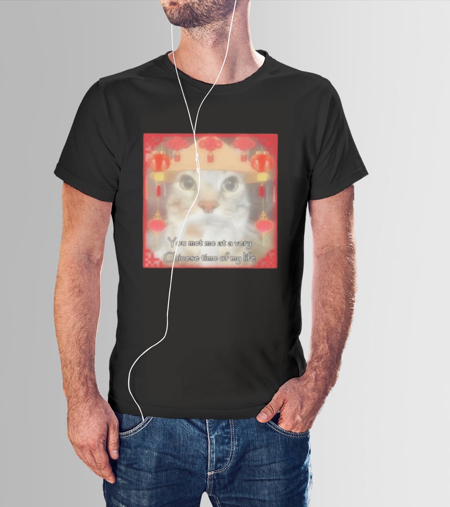 You Met Me At A Very Chinese Time Of My Life Cat Lanterns Hat T-Shirt
