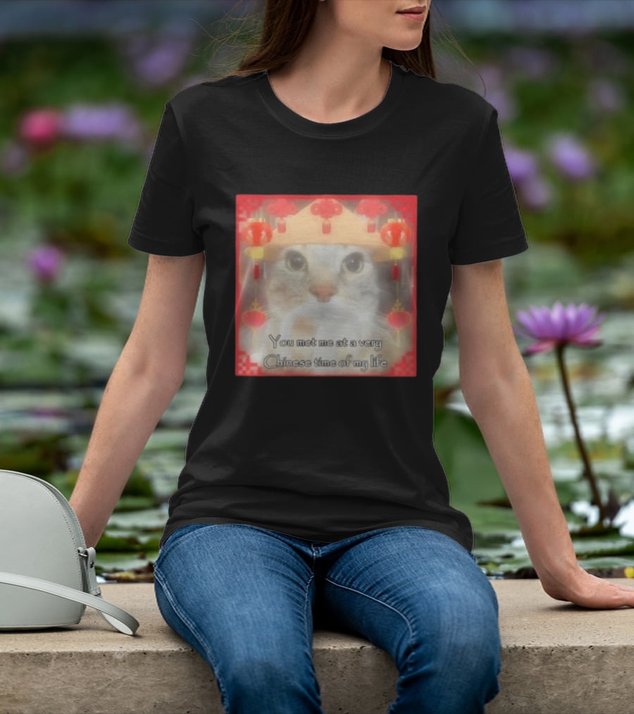 You Met Me At A Very Chinese Time Of My Life Cat Lanterns Hat T-Shirt