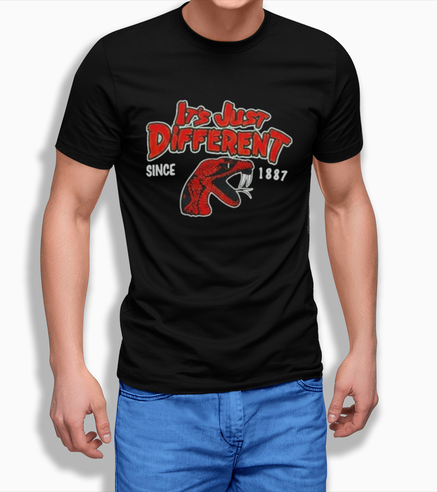 Florida A&M Rattlers It's Just Different Since 1887 T-Shirt